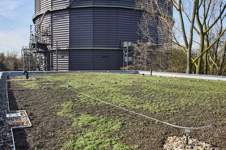 Nachhaltige Dachgestaltung: Die Lagerhalle verfügt über ein extensiv begrüntes Retentionsdach. © Stockhausen Fotodesign