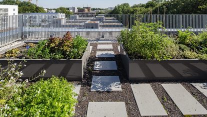 Die Flachdächer wurden wahlweise extensiv begrünt, als Dachterrasse ausgebildet oder als Flächen zum Urban Gardening gestaltet. © Markus Dobmeier
